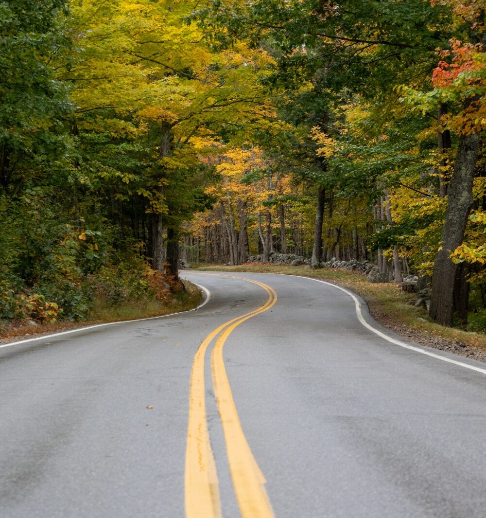 StockSnap_Y6COGLOPQA